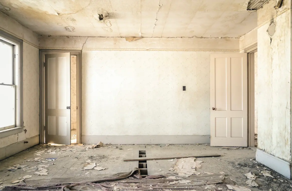 Waste disposal crew managing a cleanout project in Terrace Heights